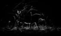 Leopard silhoutte