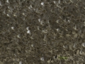 Red-billed quelea