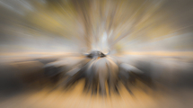 20100801-_MG_0859