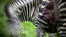 photogallery-28