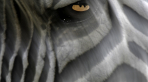 photogallery-4