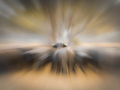 20100801-_MG_0859