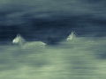 20150413-PD5A4288
