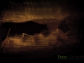 Dynamic blur-6