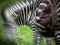 photogallery-28