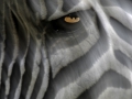 photogallery-4