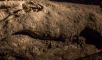 Croc Giant