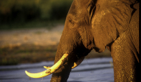 photogallery-10