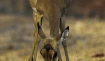 photogallery-131