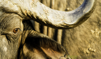 photogallery-135