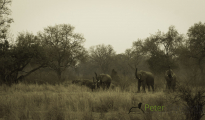 photogallery-137