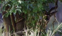 photogallery-14