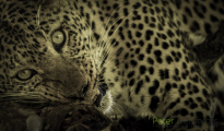 photogallery-146