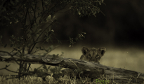 photogallery-156