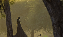 photogallery-158