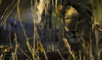 photogallery-159
