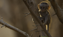 photogallery-164