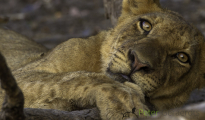 photogallery-167