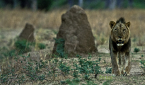 photogallery-177