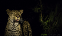 photogallery-185