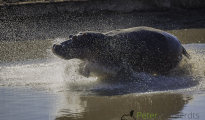 photogallery-189