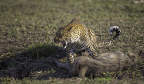 photogallery-193
