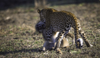 photogallery-194
