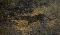 photogallery-197