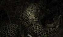 photogallery-213
