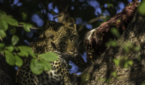 photogallery-220