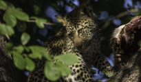 photogallery-222