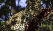 photogallery-225