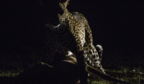 photogallery-246