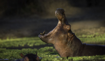 photogallery-255