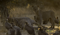 photogallery-267