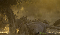 photogallery-268