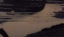 photogallery-272