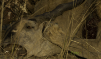 photogallery-274