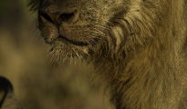 photogallery-275