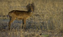 photogallery-277