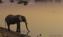 photogallery-295