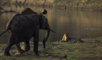 photogallery-299