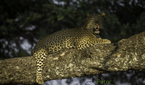 photogallery-305