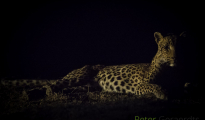 photogallery-306