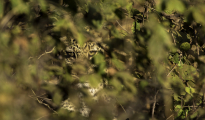 photogallery-313