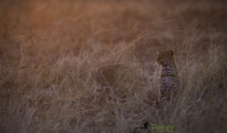 photogallery-318