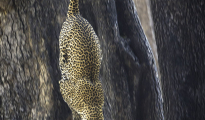 photogallery-332
