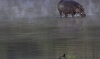 photogallery-51