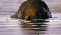 photogallery-60