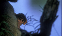 photogallery-7
